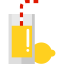 Fruit and Vegetable juice collection icon 64x64